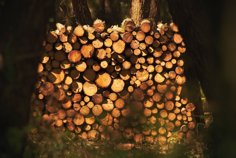 Ideas for a Bug Hotel? Build a Log Pile Instead